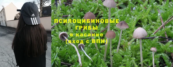 мескалин Верхнеуральск
